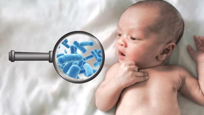 Lactancia Materna Y Su Efecto En La Microbiota Del Reci N Nacido Instituto De Nutrici N Y