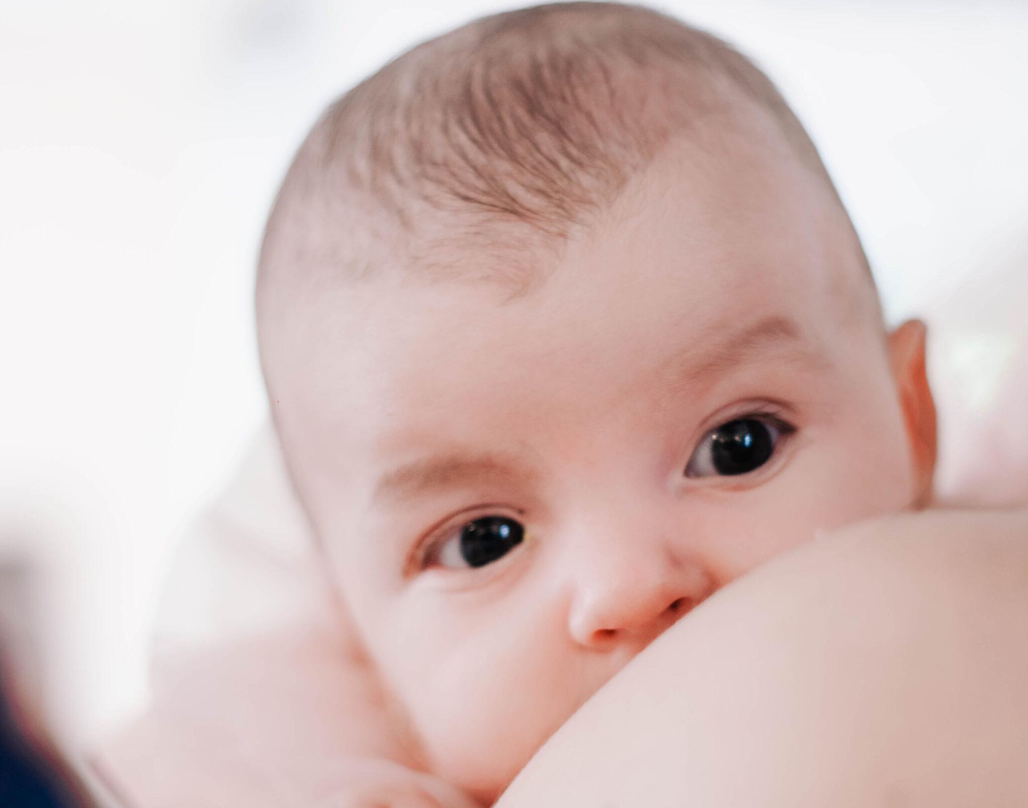 Lactancia materna y adiposidad en lactantes
