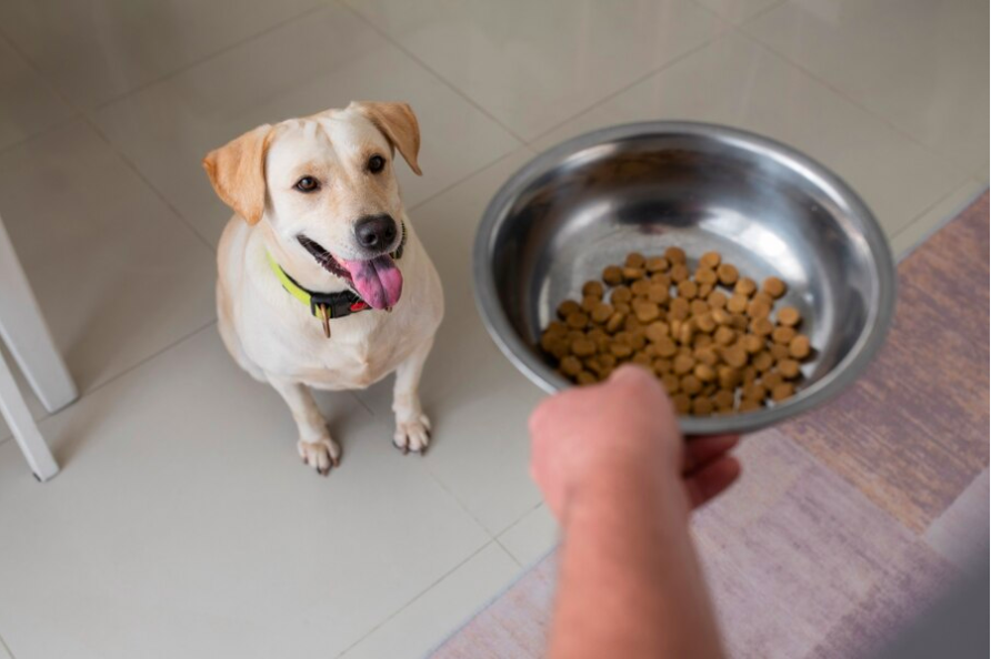 Prevención de la contaminación de los alimentos para mascotas y del desarrollo de enfermedades transmitidas por los alimentos