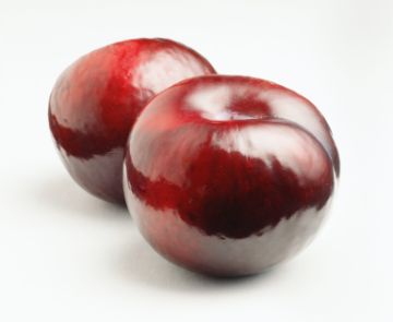Genética y Antioxidantes
