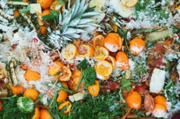Las pérdidas y desperdicios de alimentos a nivel mundial: Un problema ético, económico y ambiental
