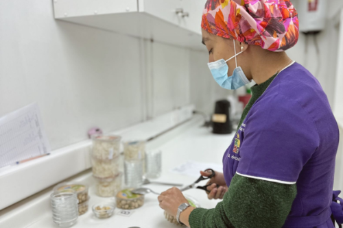 Jefa del Laboratorio de Evaluación Sensorial de Alimentos del INTA Universidad de Chile