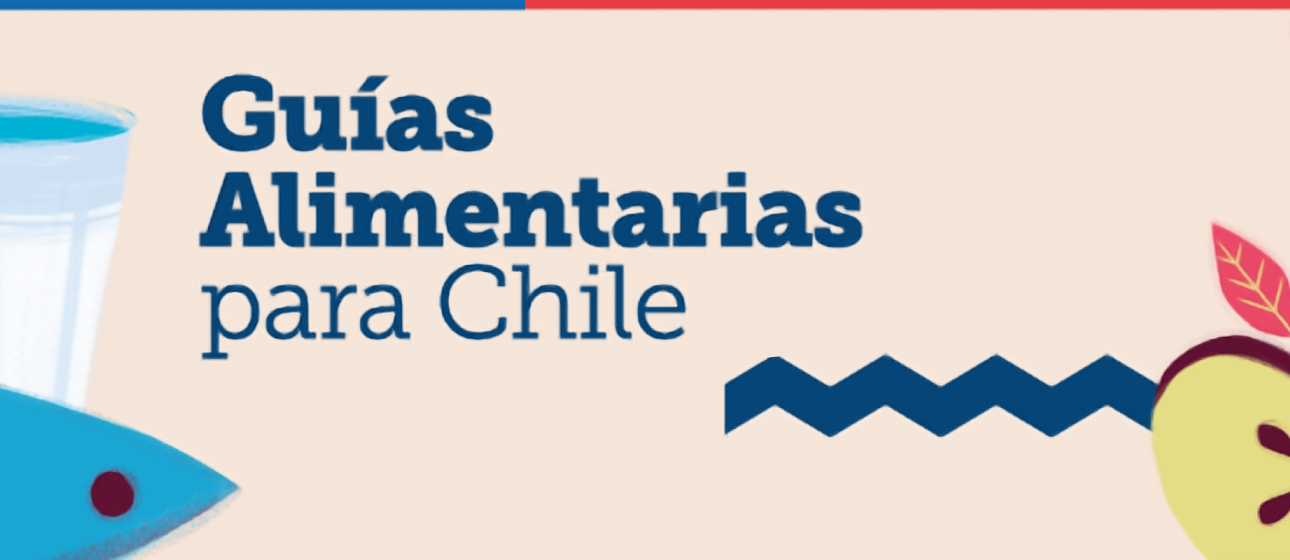 Seminario sobre Guías Alimentarias Chilenas abordó sus bases biológicas, sociales y ambientales