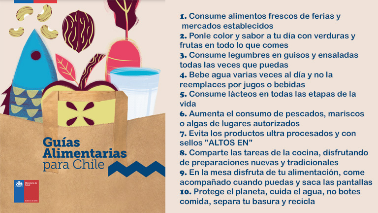 Seminario Sobre Guías Alimentarias Chilenas Abordó Sus Bases Biológicas Sociales Y Ambientales 1537