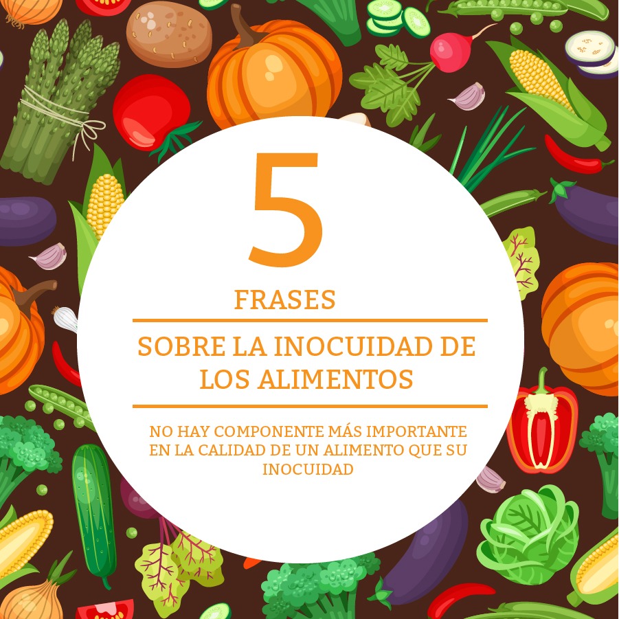 Cinco frases sobre la inocuidad de los alimentos - Instituto de Nutrición y  Tecnología de los Alimentos - Universidad de Chile